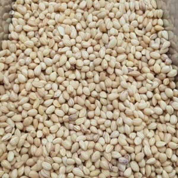 White Mahlab 500g - Image 2