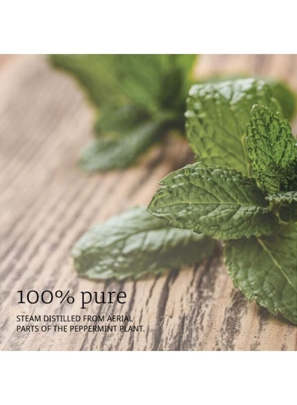 Now Foods Peppermint essential oil 30 ml - Image 4