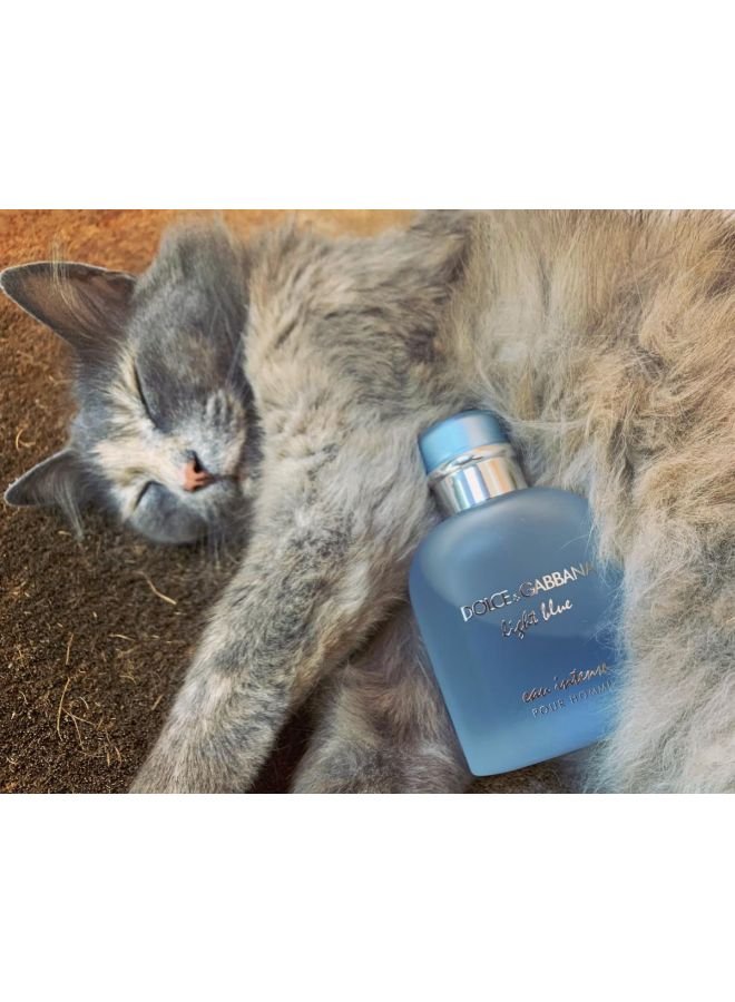 Dolce & Gabbana Light Blue Eau Innisse EDP for Men 100ml - Image 8